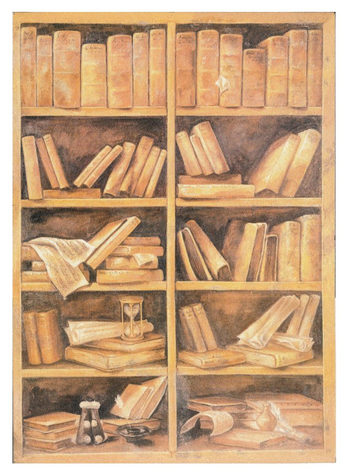 Affresco Libreria con supporto autoadesivo 2